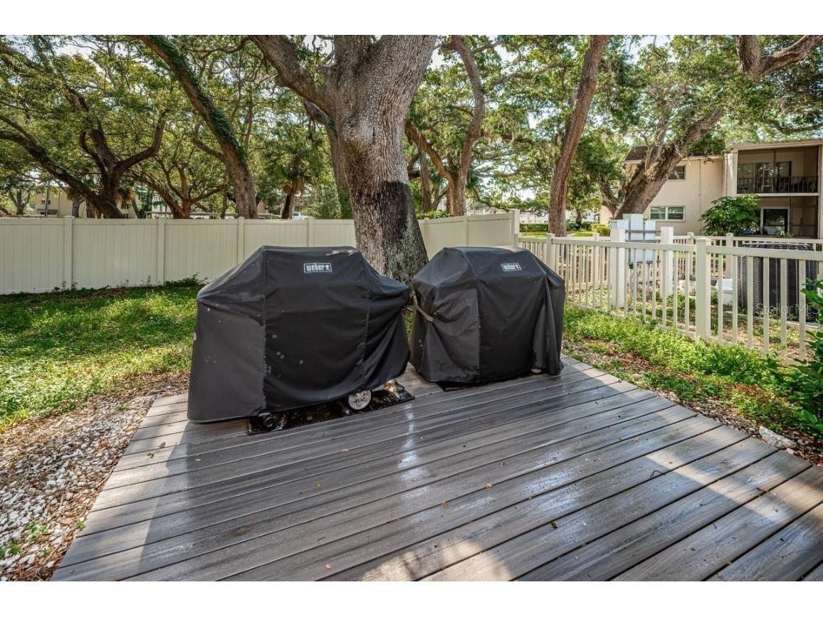 860 Virginia Street #105 Dunedin FL 34698 TB8429360 image40