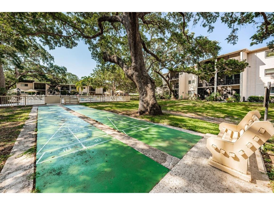 860 Virginia Street #105 Dunedin FL 34698 TB8429360 image41