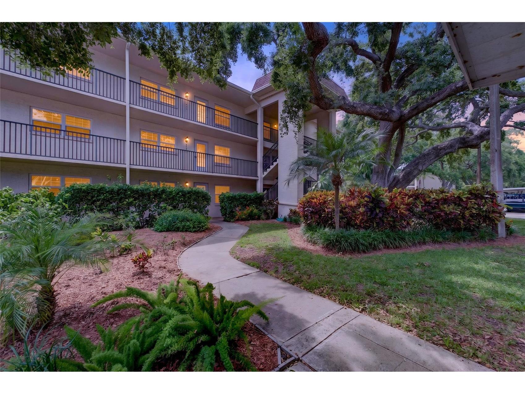 860 Virginia Street #211 Dunedin FL 34698 TB8516636 image1