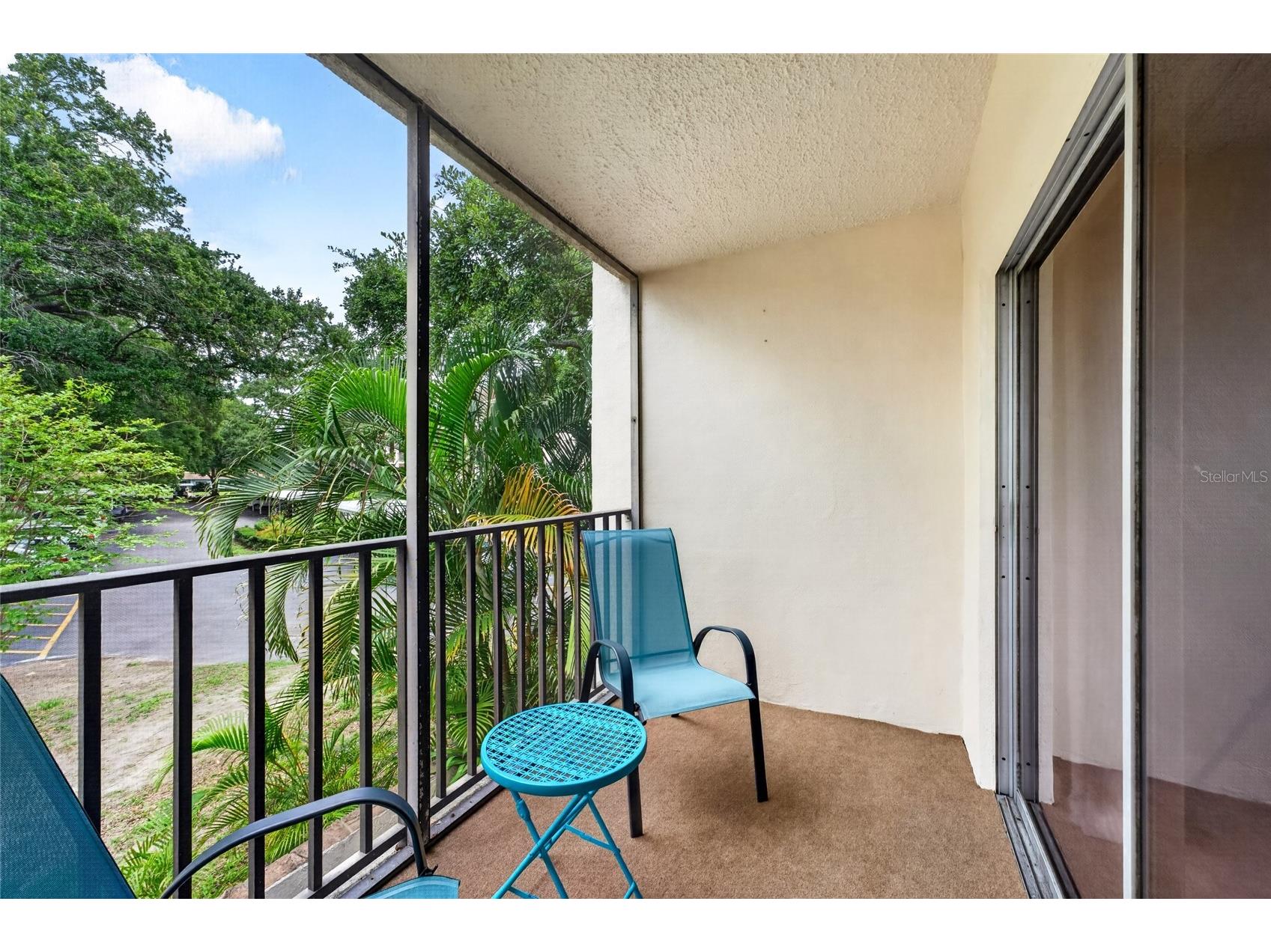860 Virginia Street #211 Dunedin FL 34698 TB8516636 image11