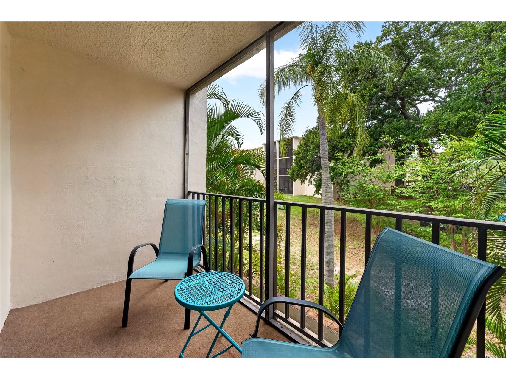860 Virginia Street #211 Dunedin FL 34698 TB8516636 image12
