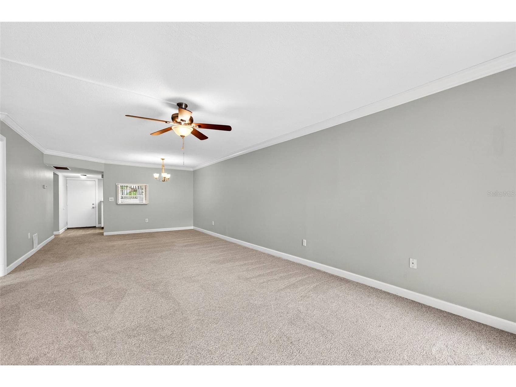 860 Virginia Street #211 Dunedin FL 34698 TB8516636 image13