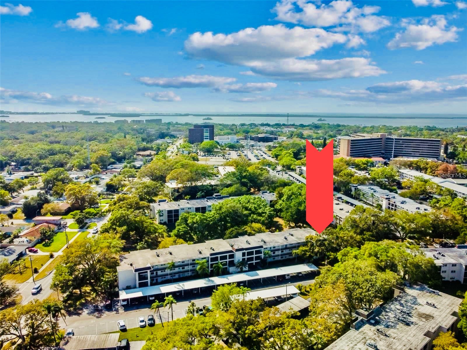 860 Virginia Street #211 Dunedin FL 34698 TB8516636 image2