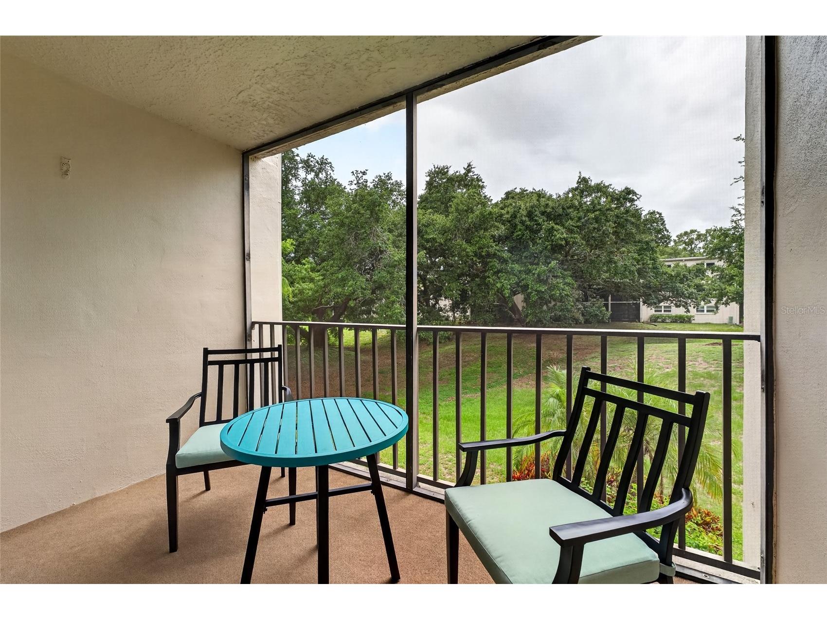 860 Virginia Street #211 Dunedin FL 34698 TB8516636 image22