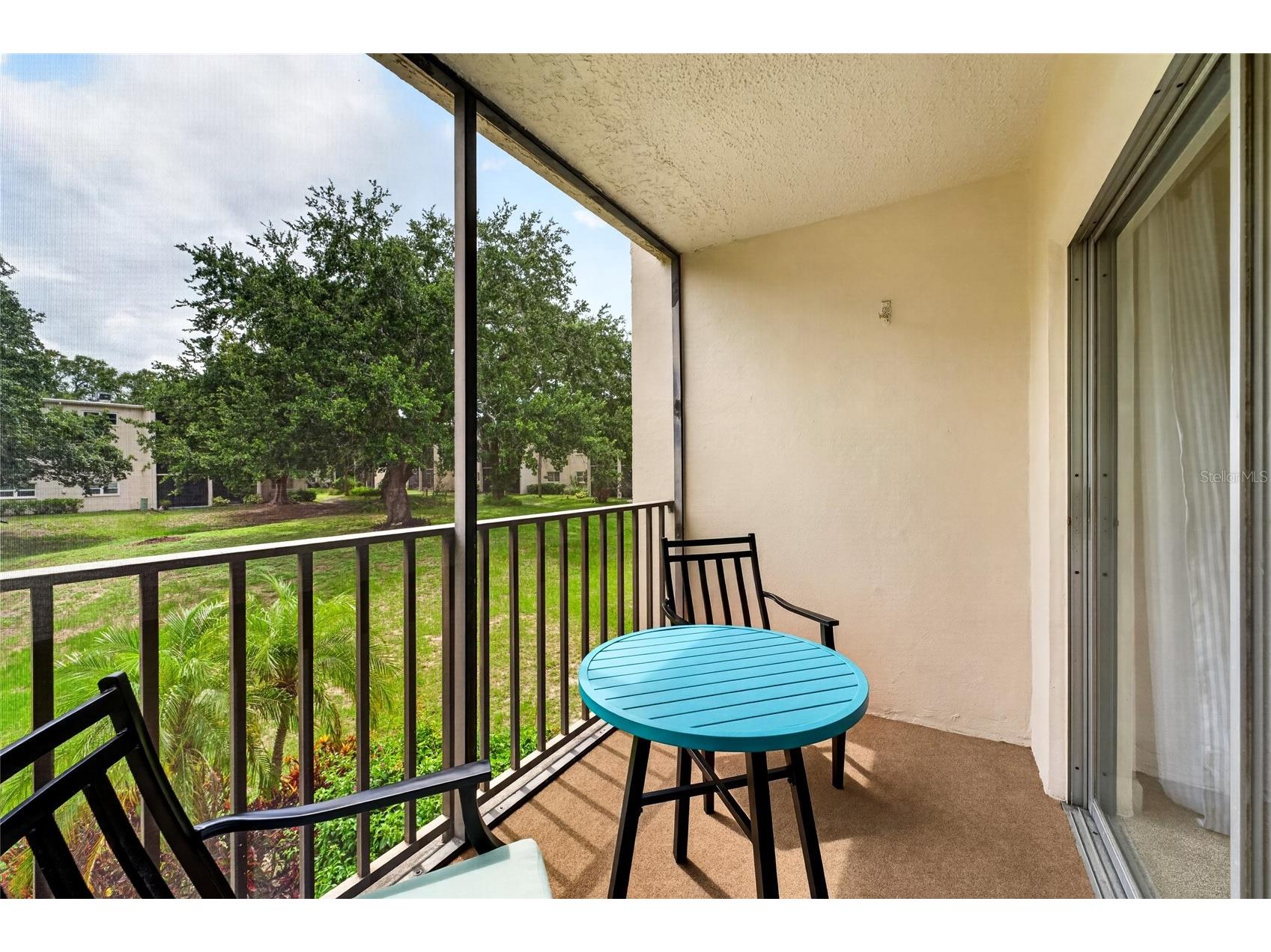 860 Virginia Street #211 Dunedin FL 34698 TB8516636 image23