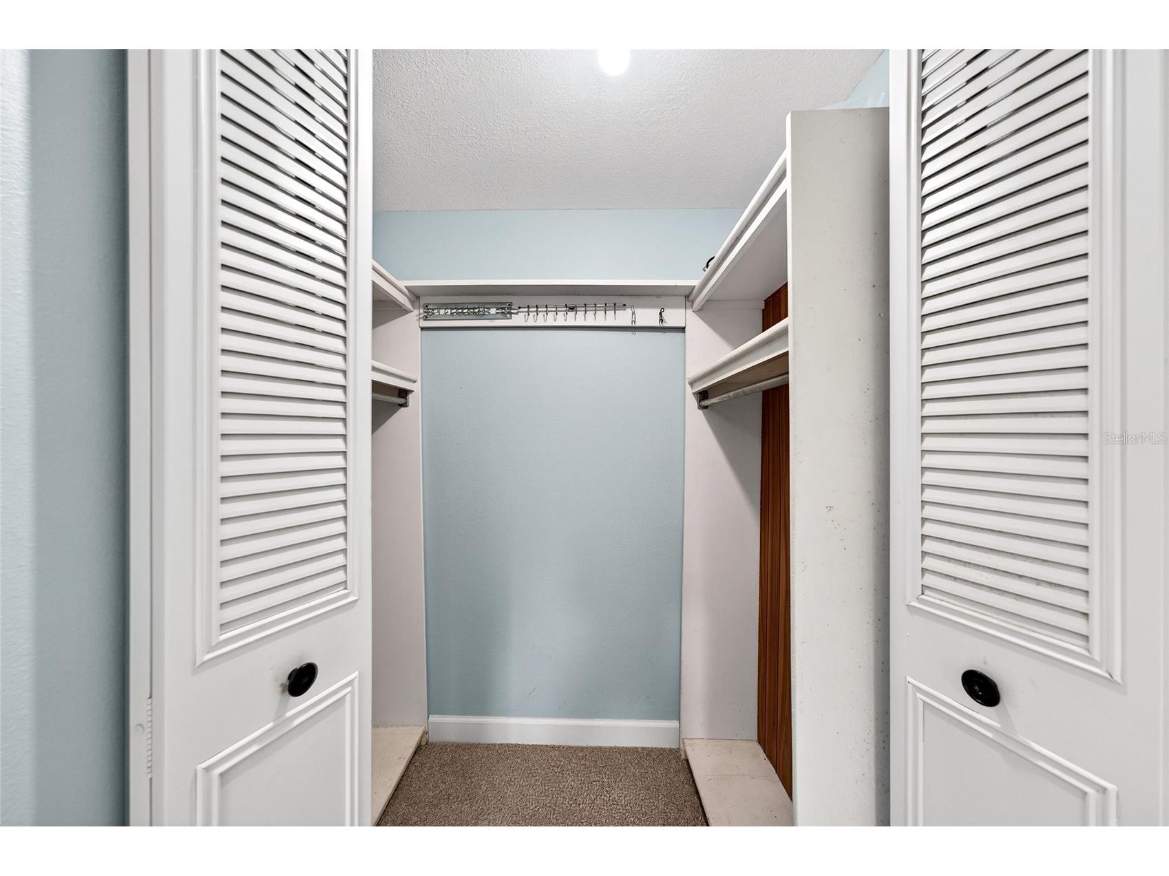 860 Virginia Street #211 Dunedin FL 34698 TB8516636 image30
