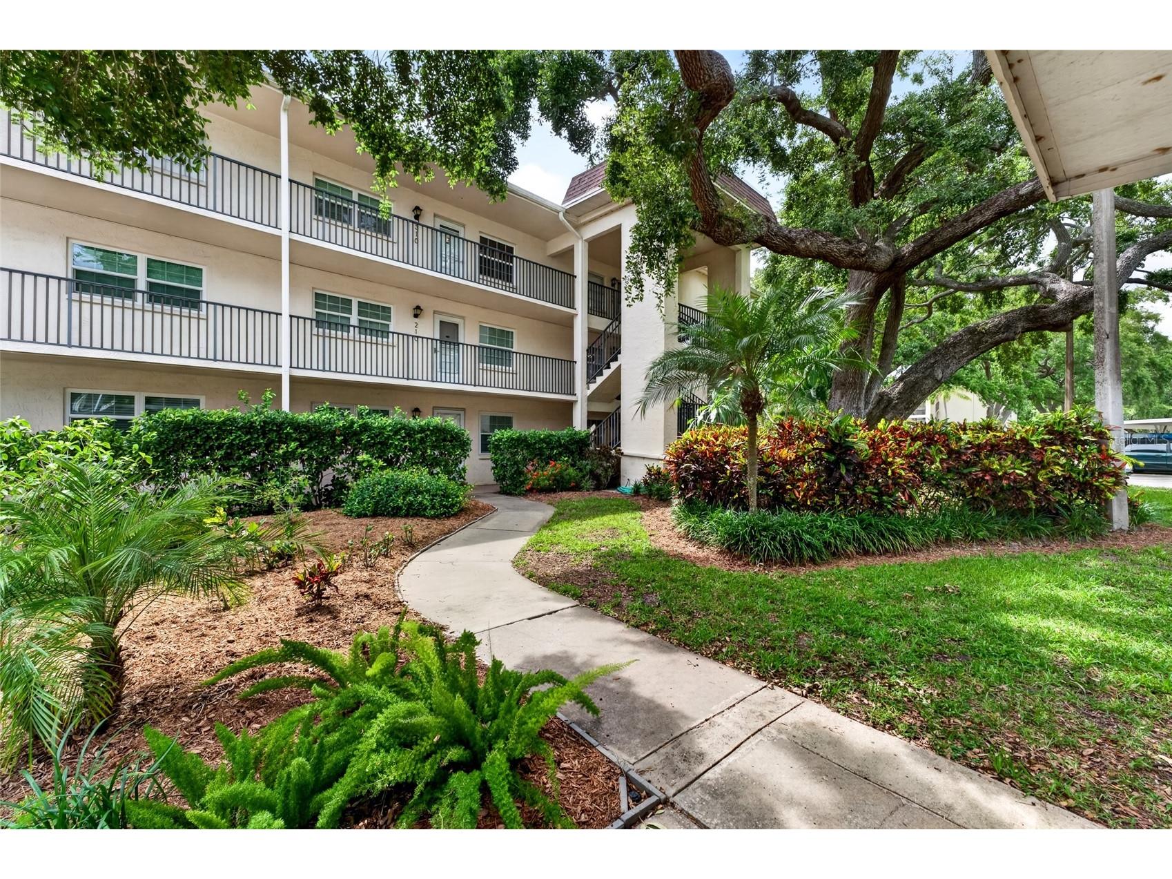 860 Virginia Street #211 Dunedin FL 34698 TB8516636 image32