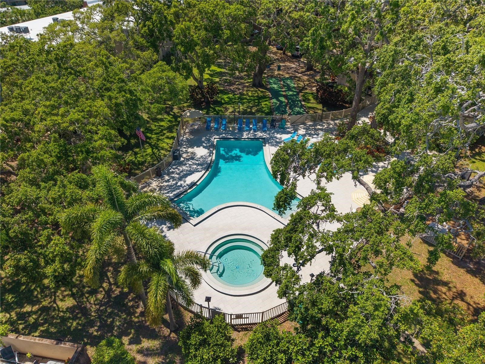 860 Virginia Street #211 Dunedin FL 34698 TB8516636 image35