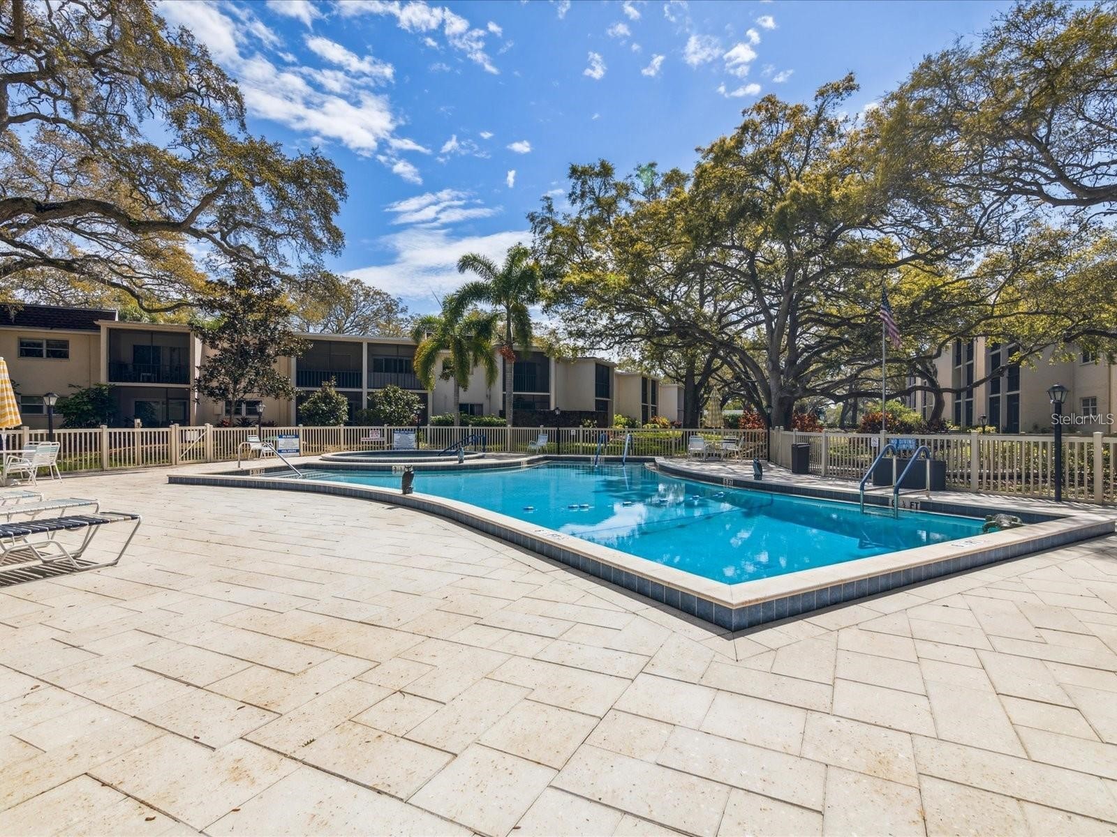 860 Virginia Street #211 Dunedin FL 34698 TB8516636 image36