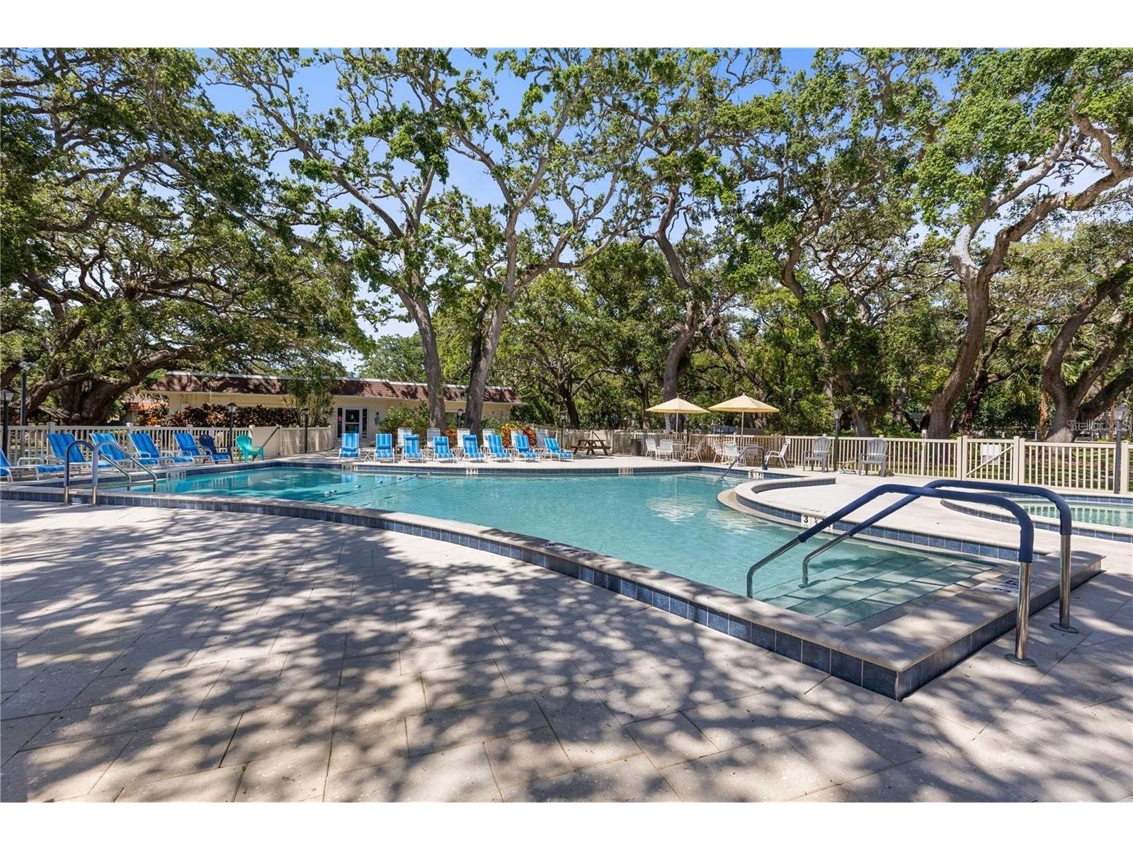 860 Virginia Street #211 Dunedin FL 34698 TB8516636 image38
