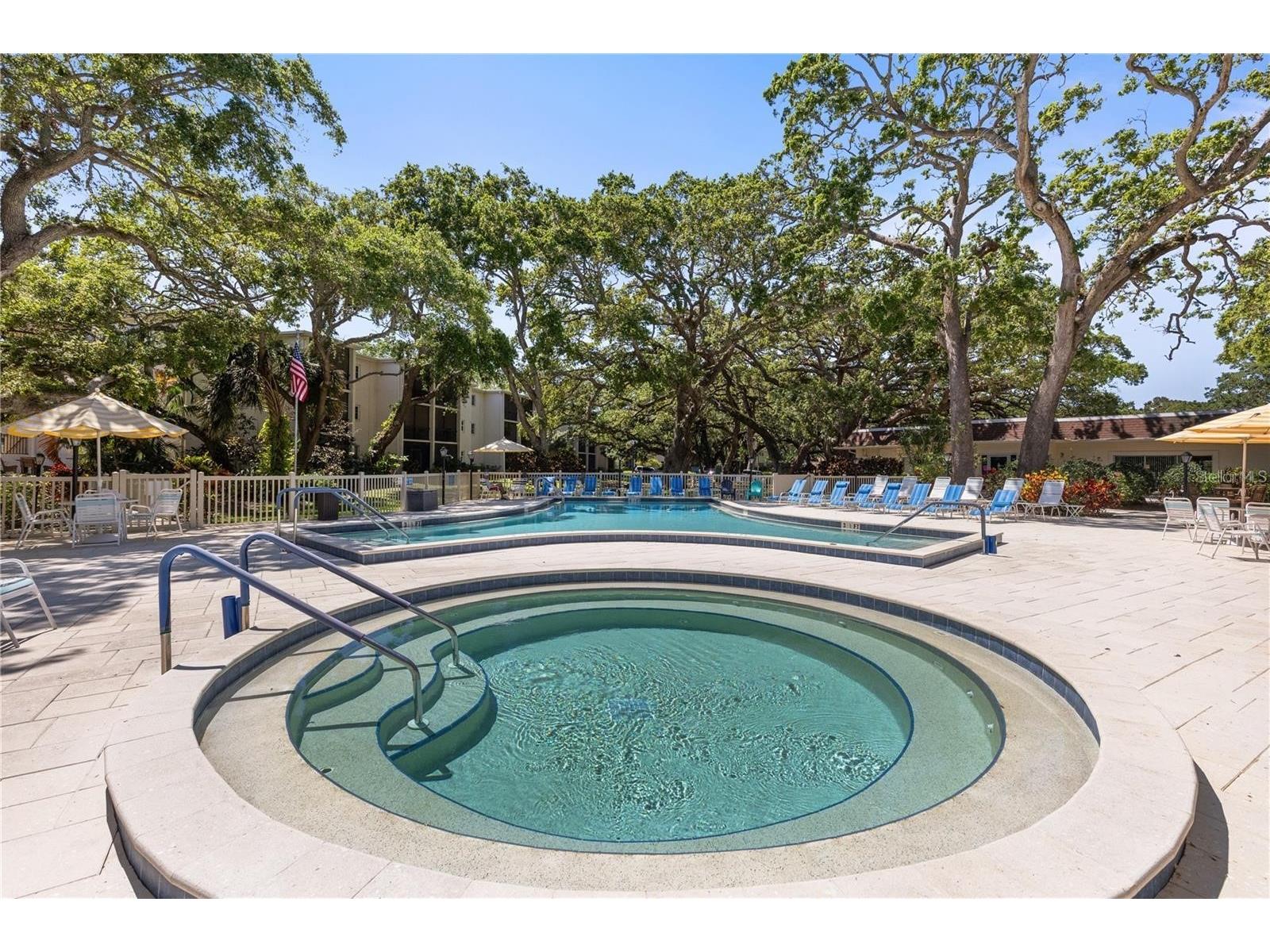 860 Virginia Street #211 Dunedin FL 34698 TB8516636 image39