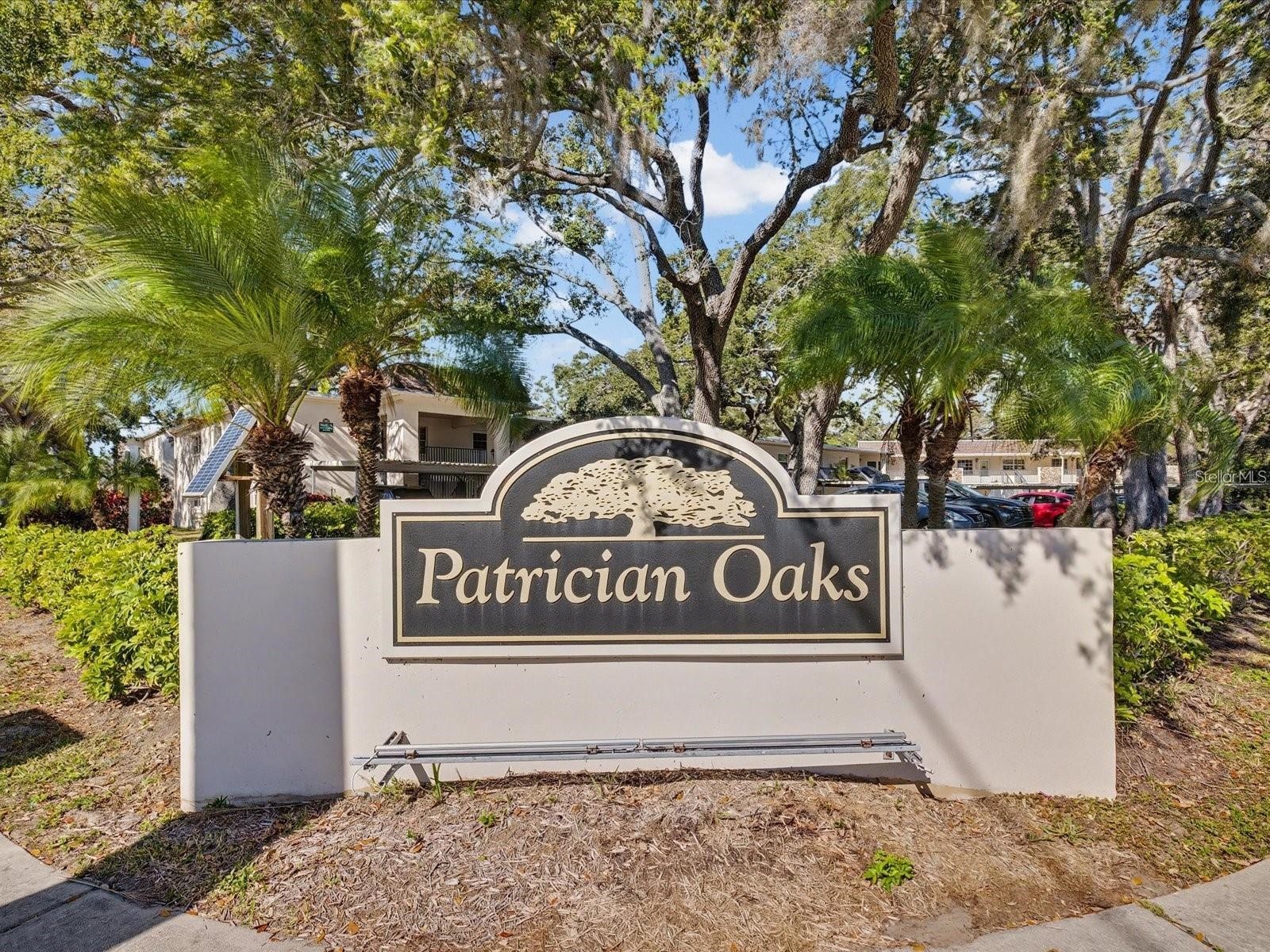 860 Virginia Street #211 Dunedin FL 34698 TB8516636 image4
