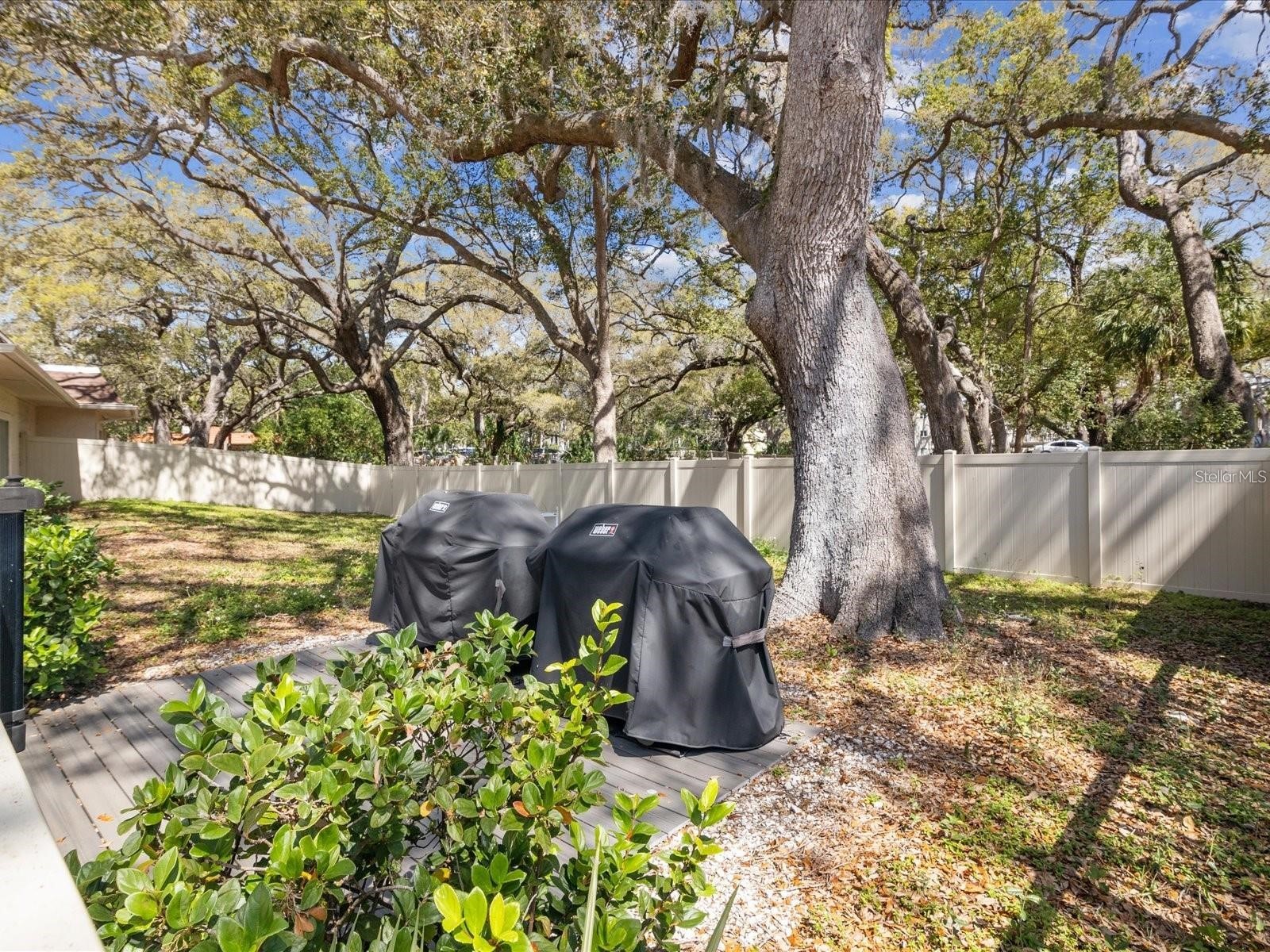 860 Virginia Street #211 Dunedin FL 34698 TB8516636 image40