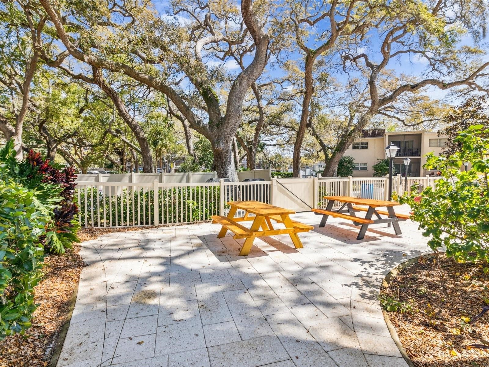 860 Virginia Street #211 Dunedin FL 34698 TB8516636 image41