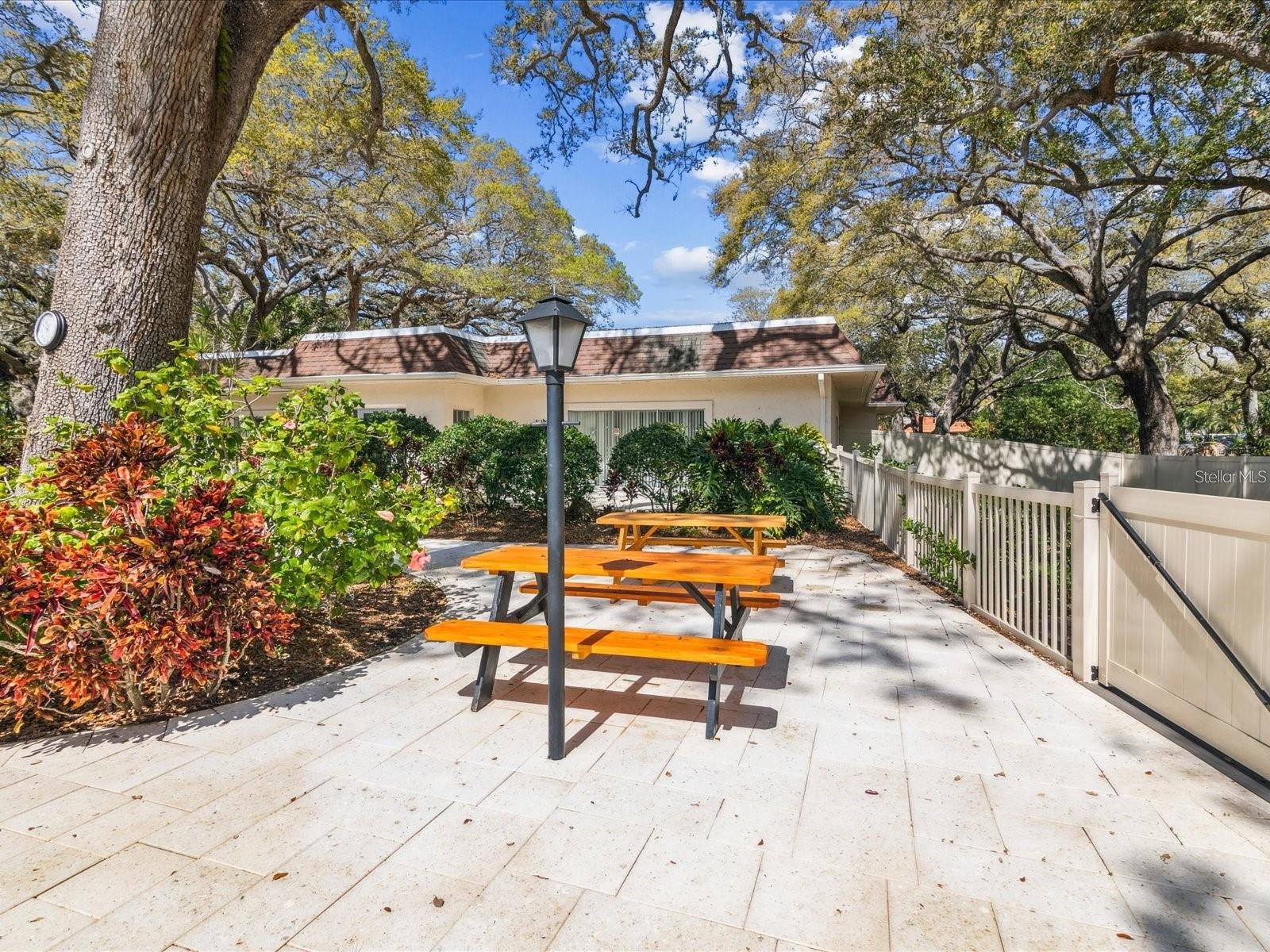 860 Virginia Street #211 Dunedin FL 34698 TB8516636 image47