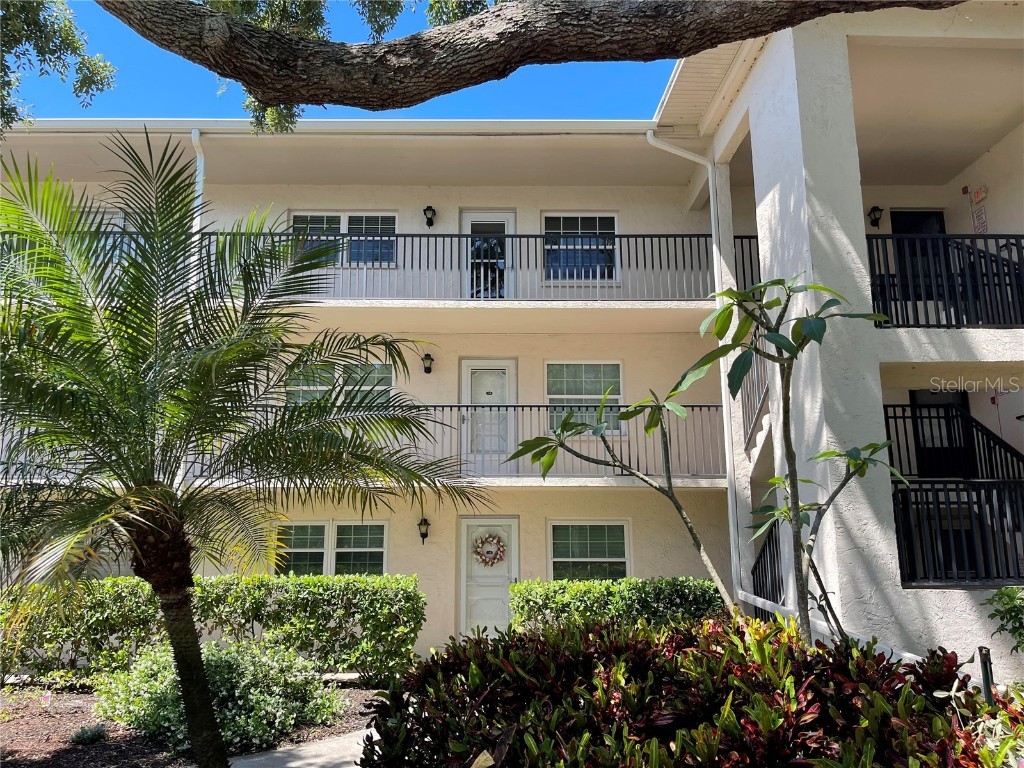 860 Virginia Street #310 Dunedin FL 34698 U8238630 image1