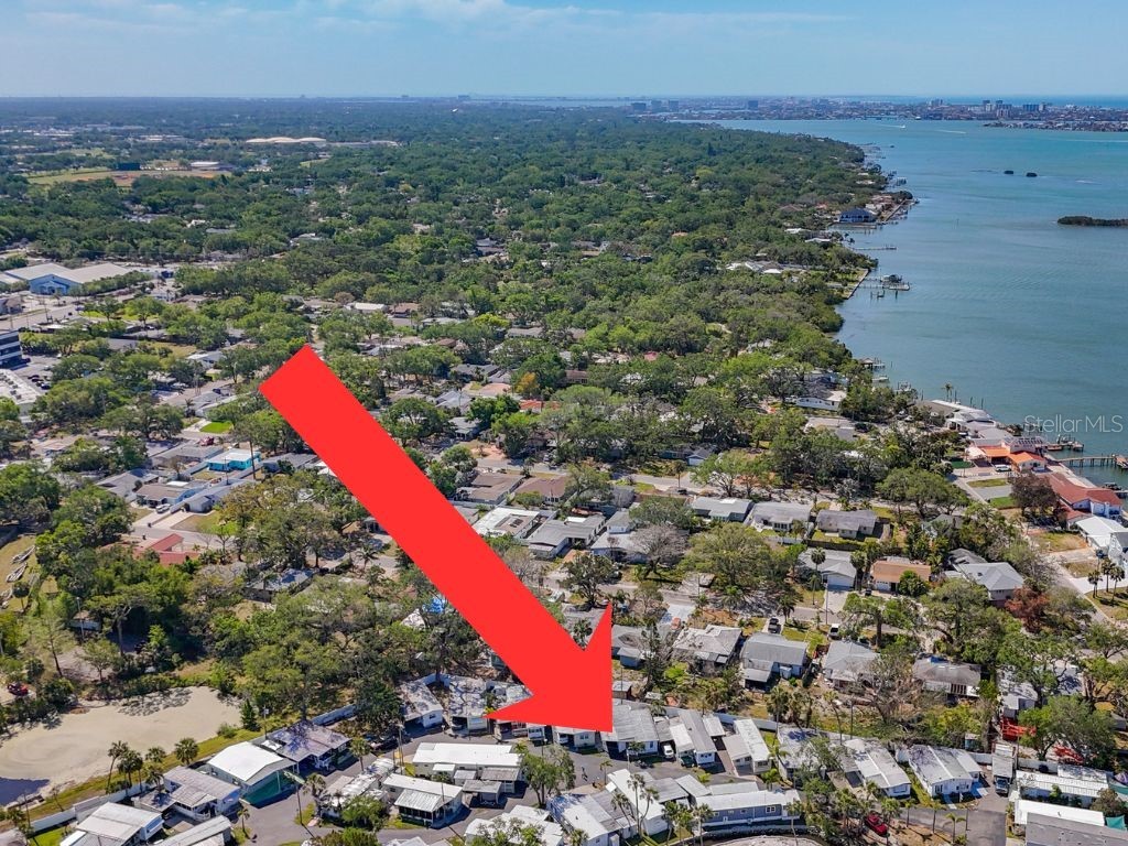 8600 42nd Place N #11 Saint Petersburg FL 33709 S5138238 image3