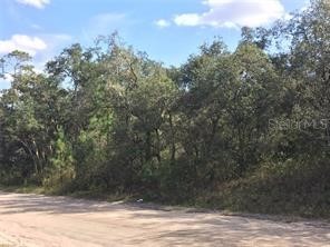8600 Kiowa Trail Kissimmee FL 34747 O6228594 image1