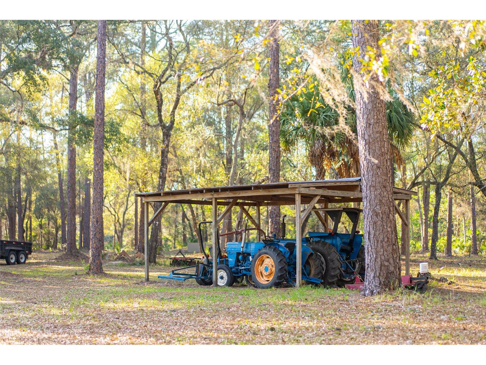8600 NE 147th Avenue Road Silver Springs FL 34488 - LAKE FORE O6405602 image19