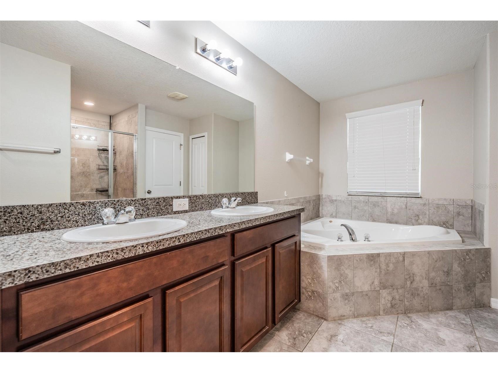 8600 Savory Walk Drive Land O Lakes FL 34637 TB8410576 image27