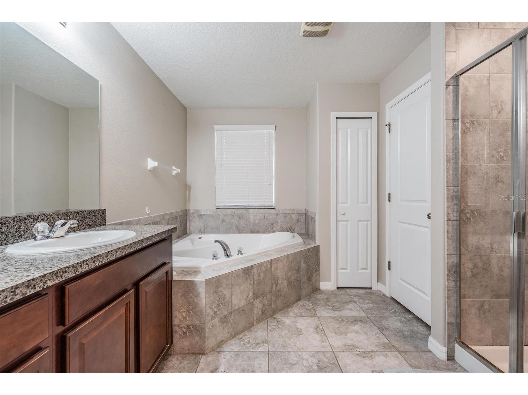 8600 Savory Walk Drive Land O Lakes FL 34637 TB8410576 image28