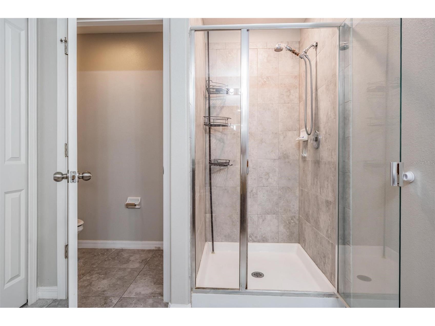 8600 Savory Walk Drive Land O Lakes FL 34637 TB8410576 image29