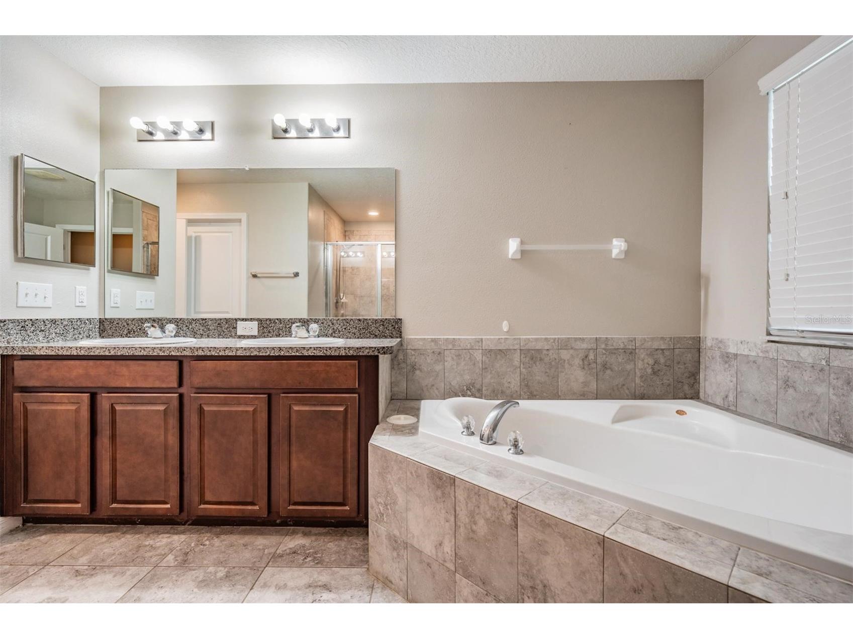 8600 Savory Walk Drive Land O Lakes FL 34637 TB8410576 image30