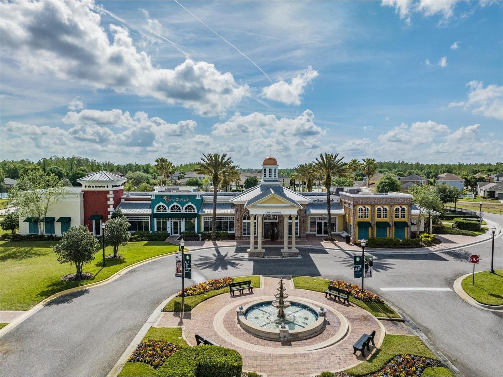 8600 Savory Walk Drive Land O Lakes FL 34637 TB8410576 image59