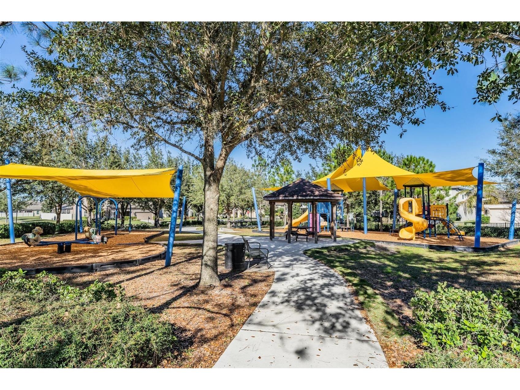 8600 Savory Walk Drive Land O Lakes FL 34637 TB8410576 image62