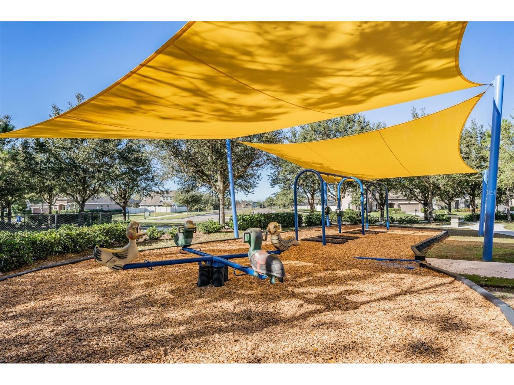 8600 Savory Walk Drive Land O Lakes FL 34637 TB8410576 image63