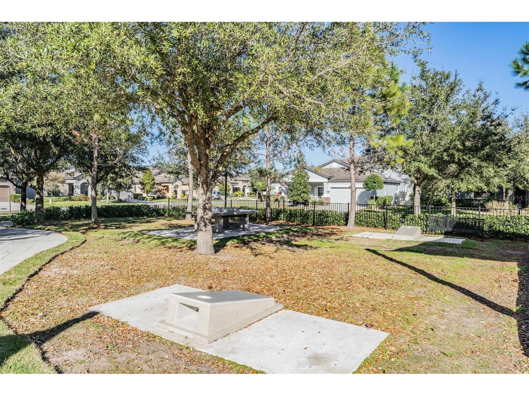 8600 Savory Walk Drive Land O Lakes FL 34637 TB8410576 image68