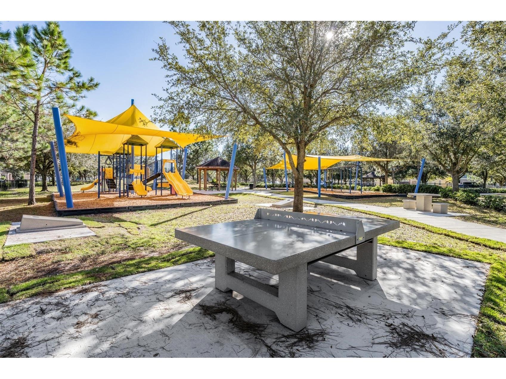 8600 Savory Walk Drive Land O Lakes FL 34637 TB8410576 image71