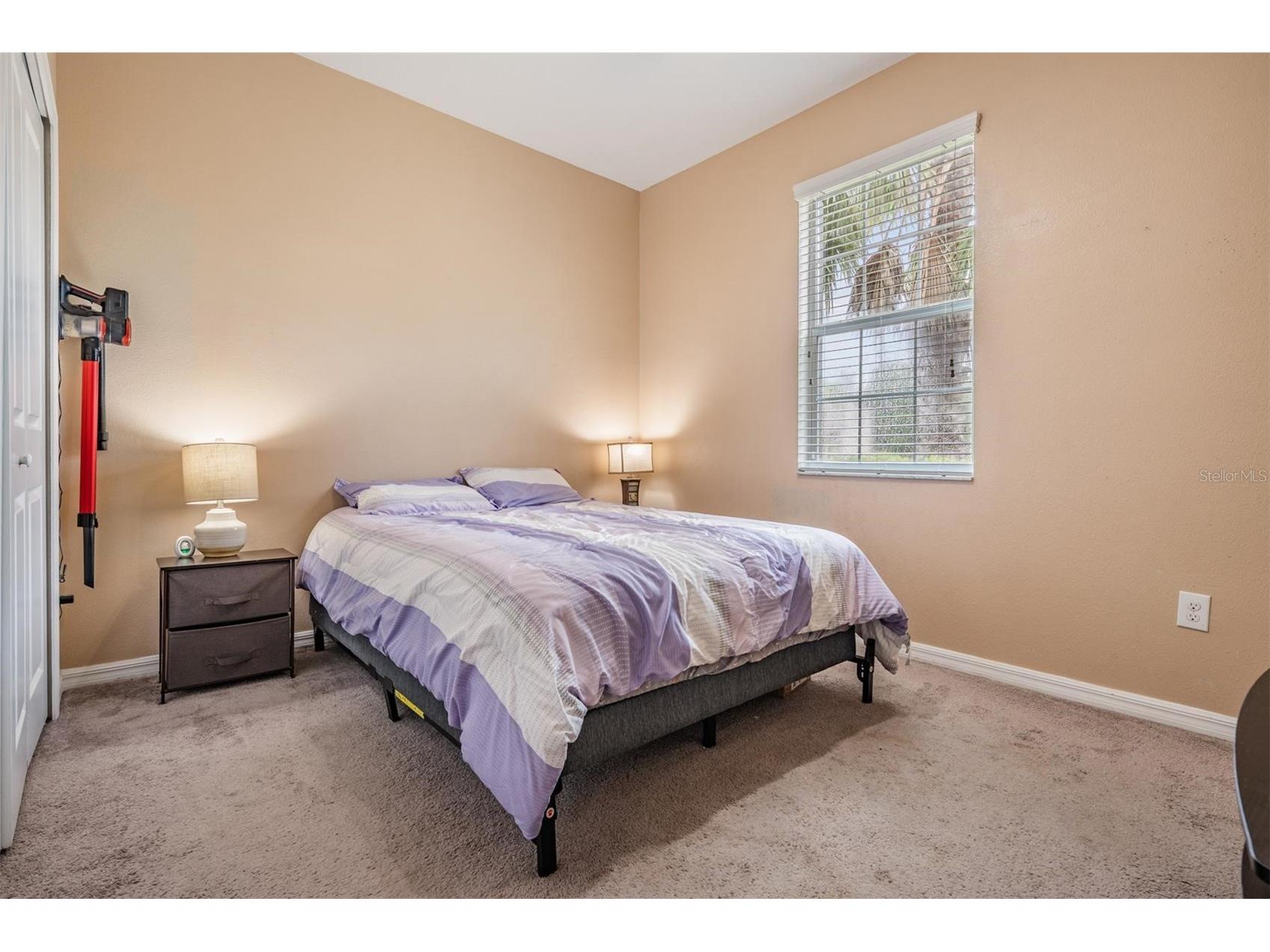 8600 Savory Walk Drive Land O Lakes FL 34637 TB8410576 image8