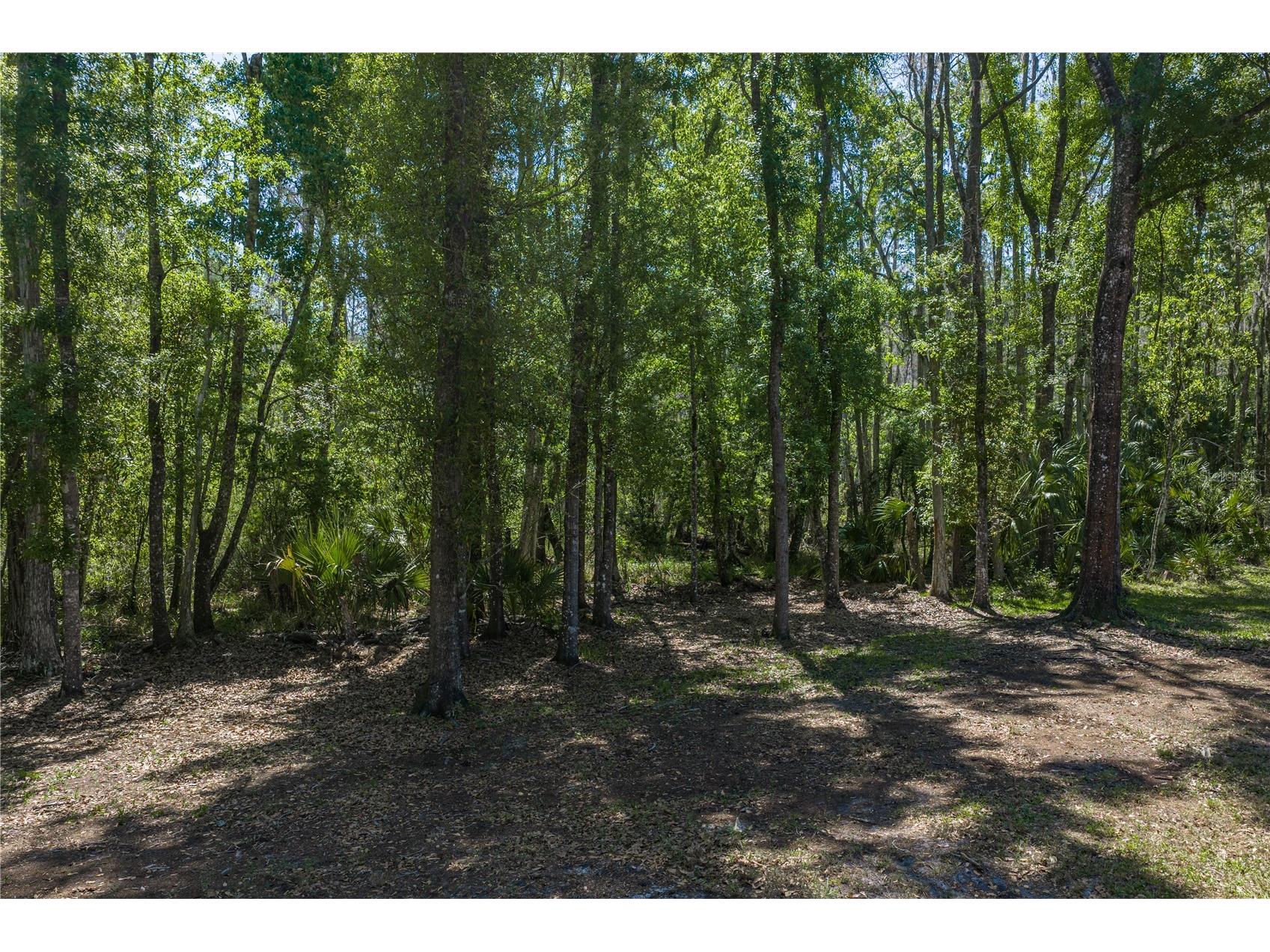 8600 Shenandoah Run Wesley Chapel FL 33544 TB8492515 image49