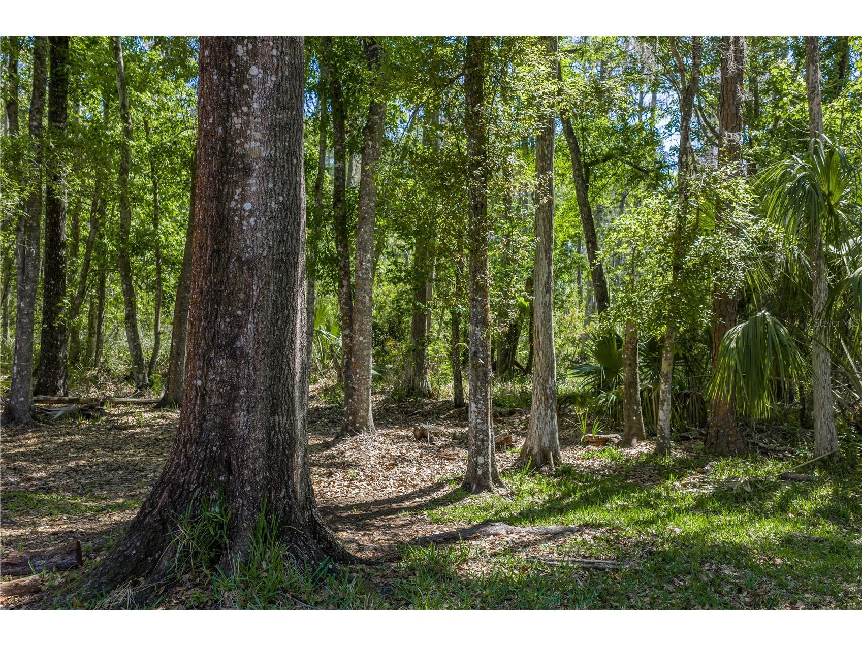 8600 Shenandoah Run Wesley Chapel FL 33544 TB8492515 image50
