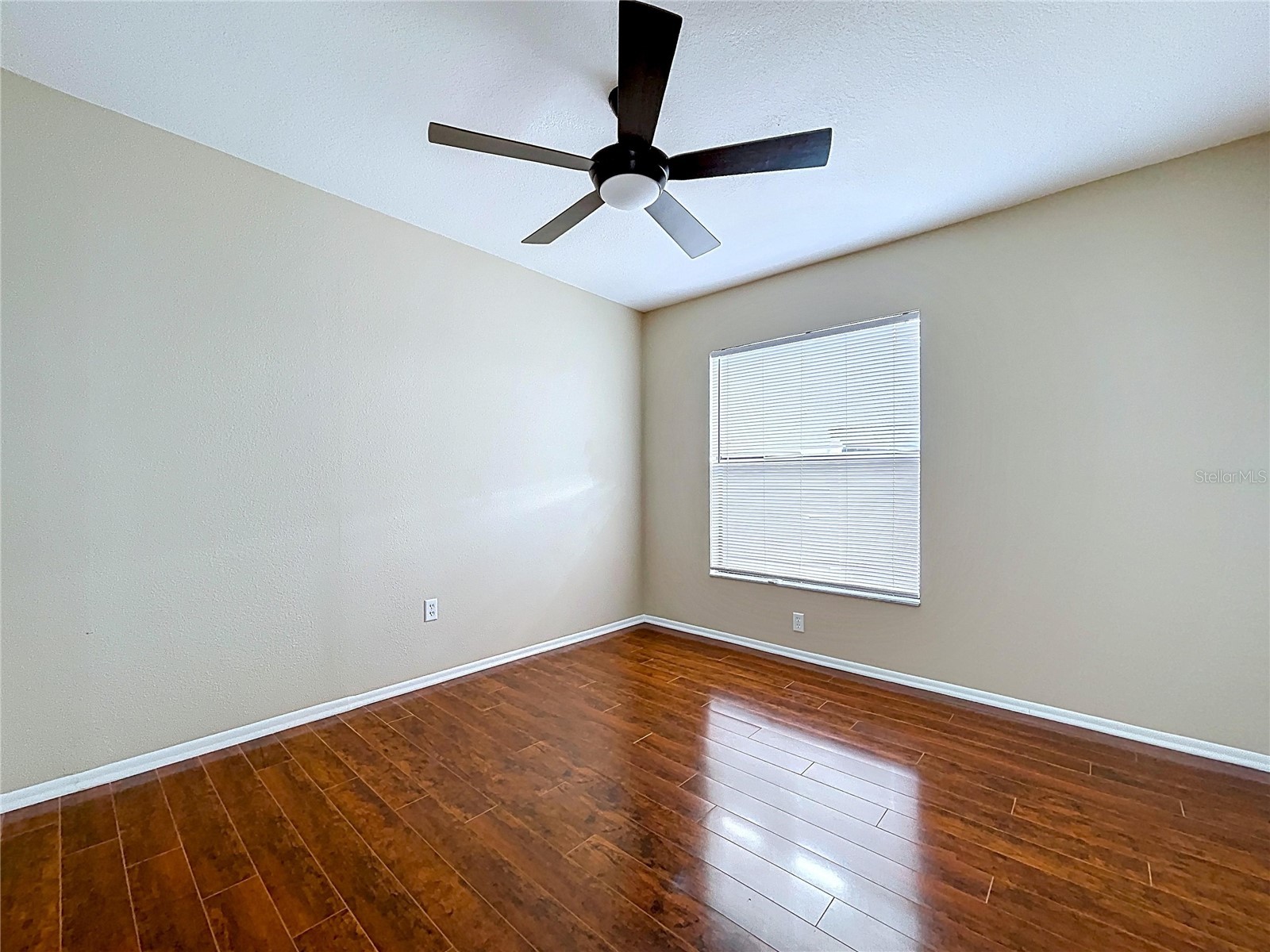 8601 Chadwick Drive Tampa FL 33635 TB8478319 image37