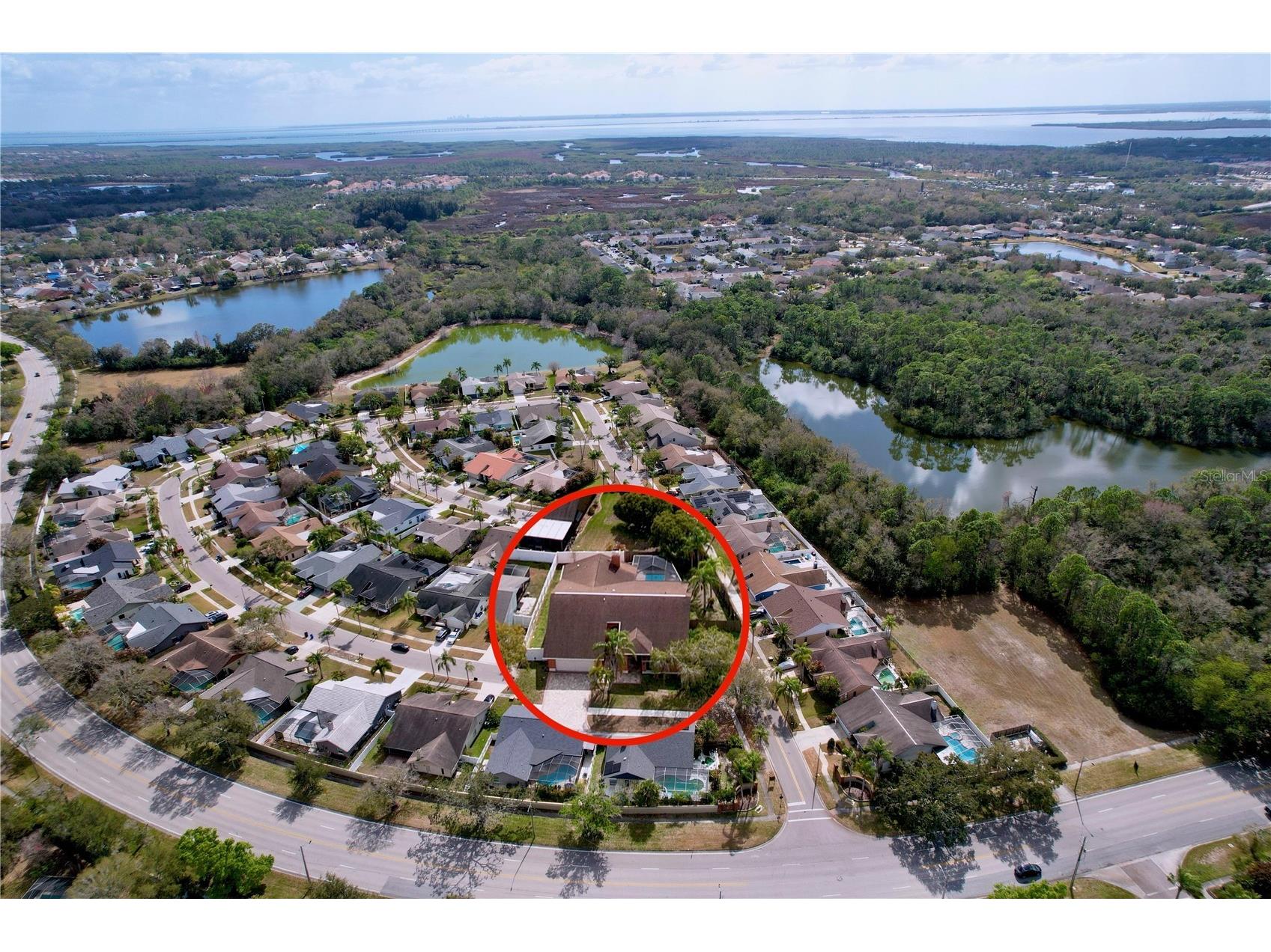 8601 Chadwick Drive Tampa FL 33635 TB8478319 image47