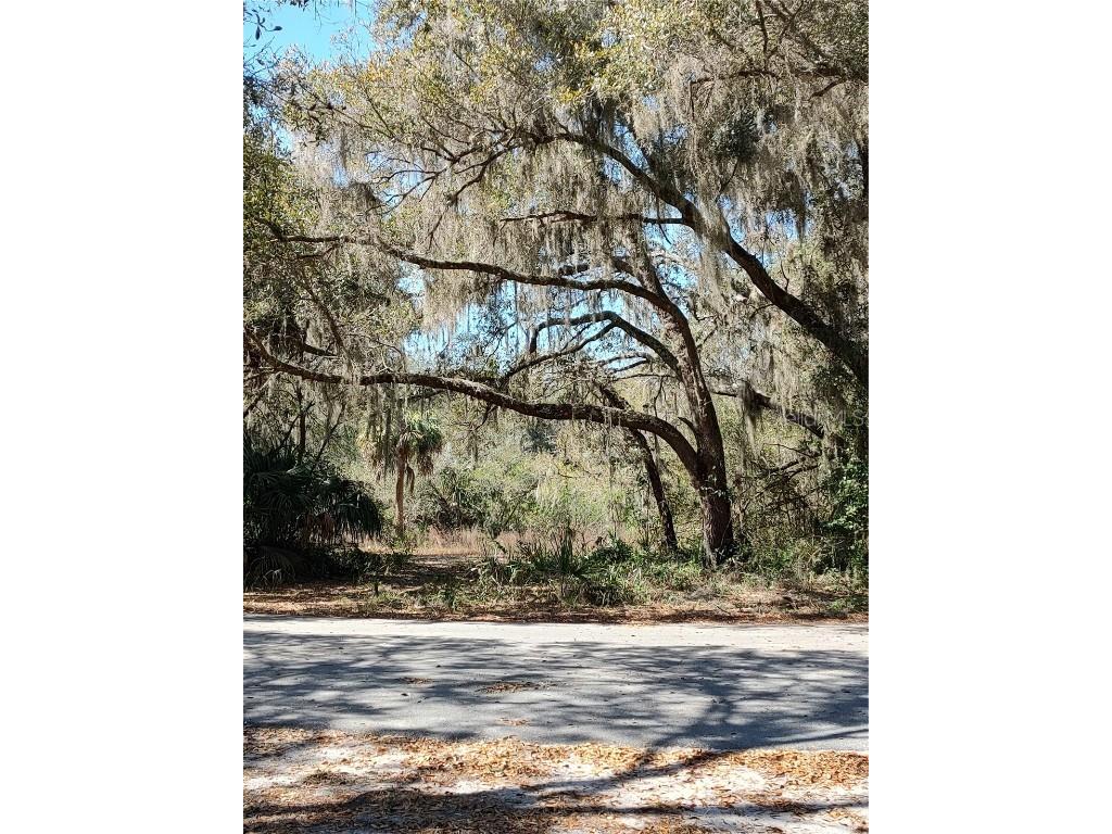 8601 W Bass Lake Road #12 Crystal River FL 34428 - LAKE ROUSSEAU OM674773 image1