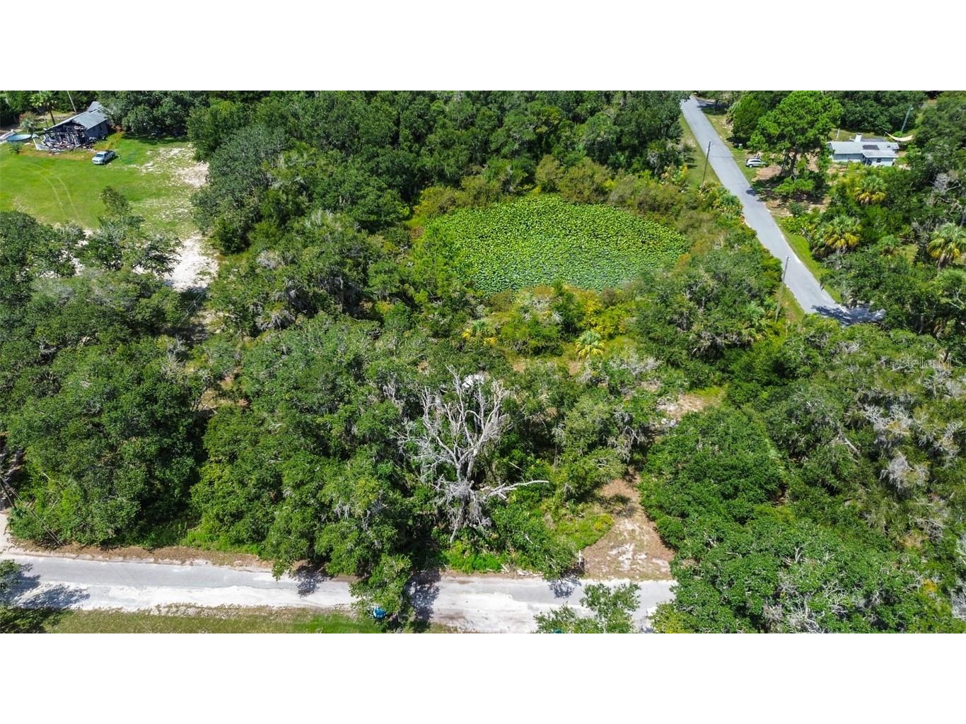8601 W Bass Lake Road #12 Crystal River FL 34428 - LAKE ROUSSEAU TB8419499 image1