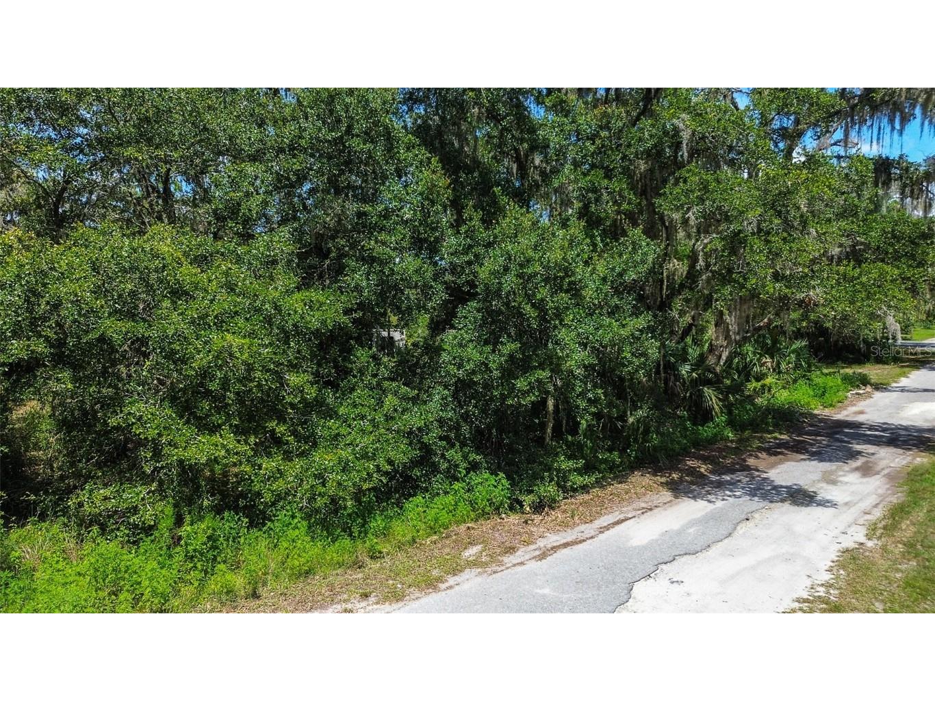 8601 W Bass Lake Road #12 Crystal River FL 34428 - LAKE ROUSSEAU TB8419499 image11