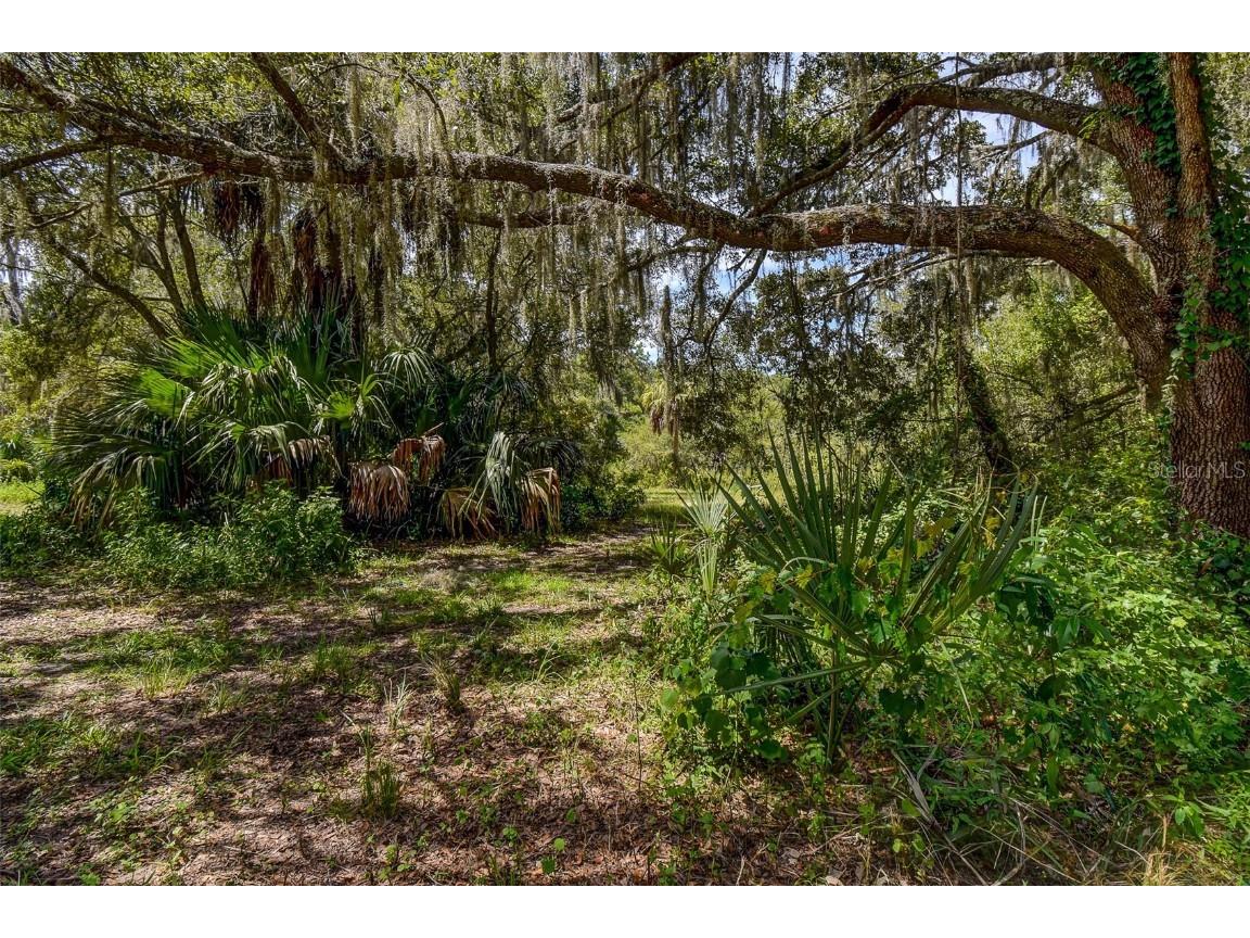 8601 W Bass Lake Road #12 Crystal River FL 34428 - LAKE ROUSSEAU TB8419499 image15