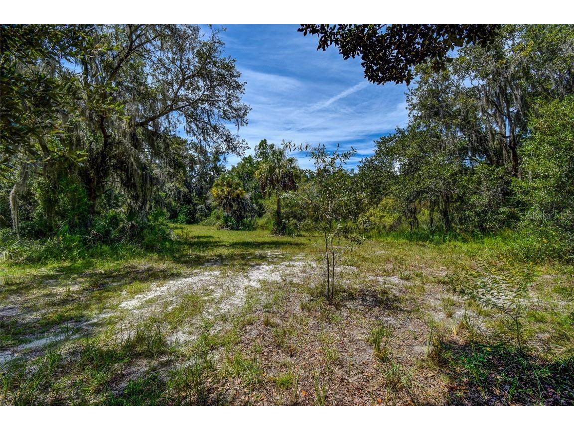8601 W Bass Lake Road #12 Crystal River FL 34428 - LAKE ROUSSEAU TB8419499 image16