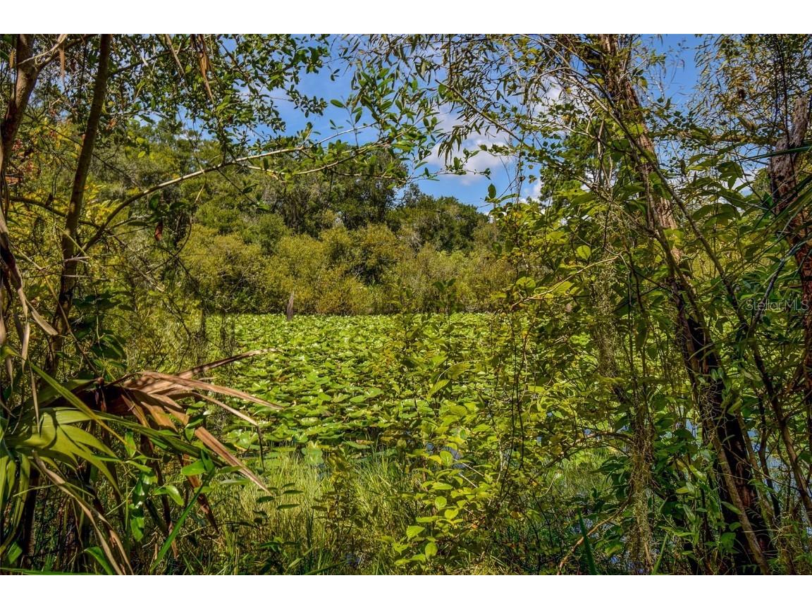 8601 W Bass Lake Road #12 Crystal River FL 34428 - LAKE ROUSSEAU TB8419499 image17