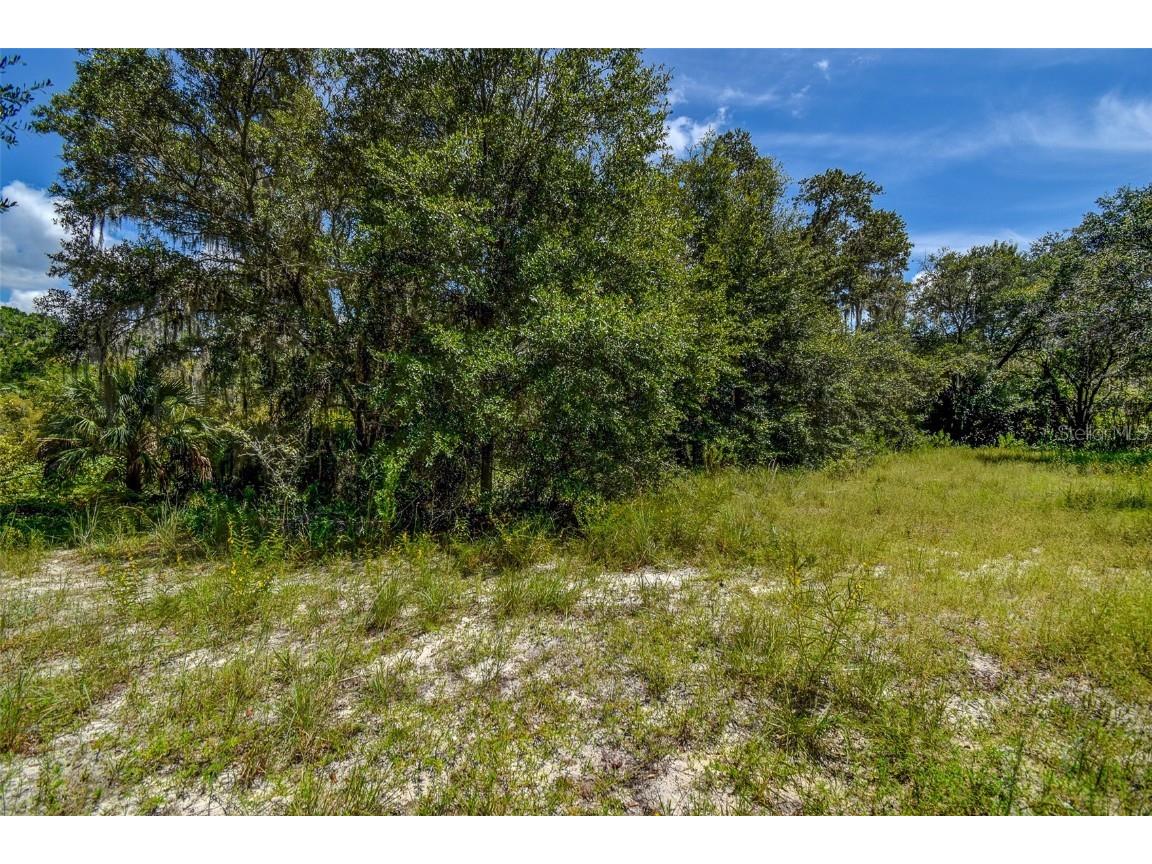 8601 W Bass Lake Road #12 Crystal River FL 34428 - LAKE ROUSSEAU TB8419499 image18