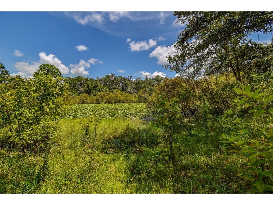 8601 W Bass Lake Road #12 Crystal River FL 34428 - LAKE ROUSSEAU TB8419499 image19