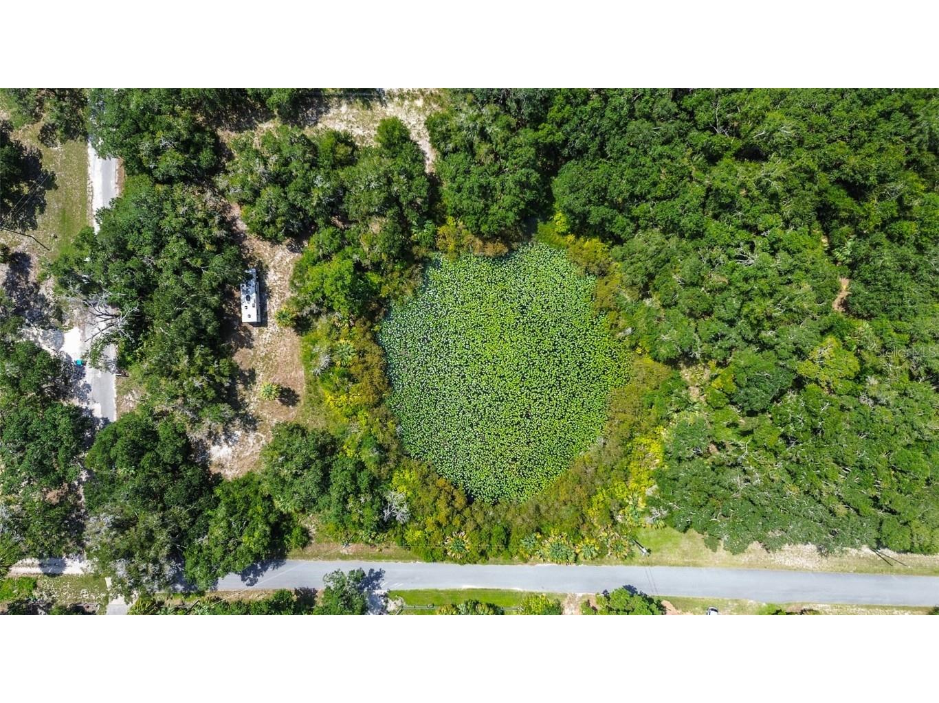 8601 W Bass Lake Road #12 Crystal River FL 34428 - LAKE ROUSSEAU TB8419499 image2