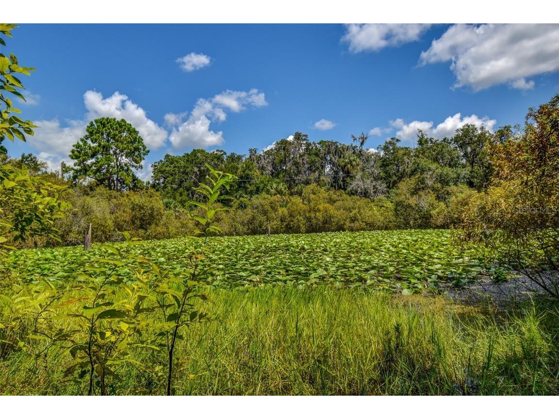 8601 W Bass Lake Road #12 Crystal River FL 34428 - LAKE ROUSSEAU TB8419499 image20