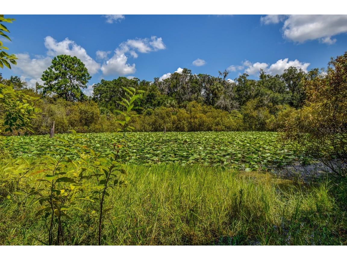 8601 W Bass Lake Road #12 Crystal River FL 34428 - LAKE ROUSSEAU TB8419499 image21