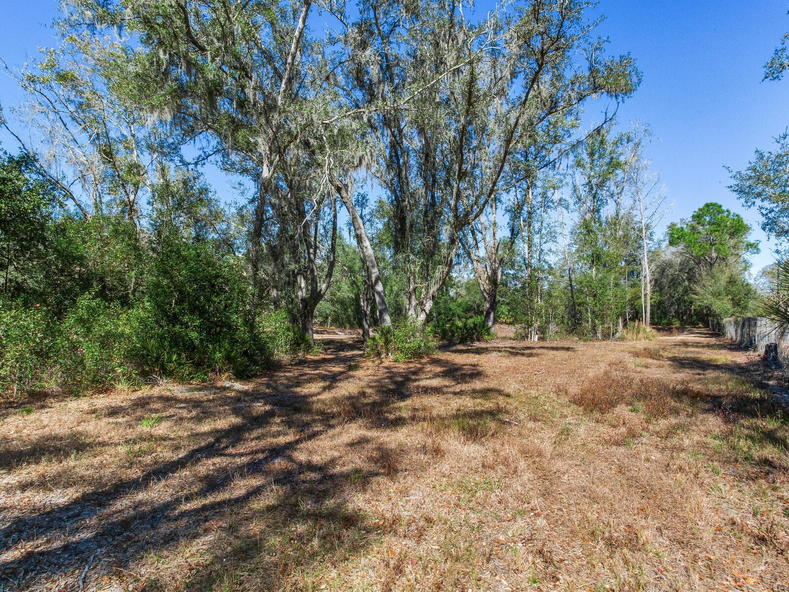 8602 Back Road Plant City FL 33565 TB8478550 image10