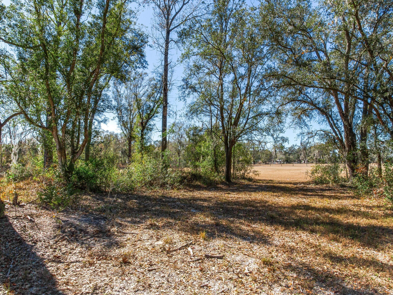 8602 Back Road Plant City FL 33565 TB8478550 image11